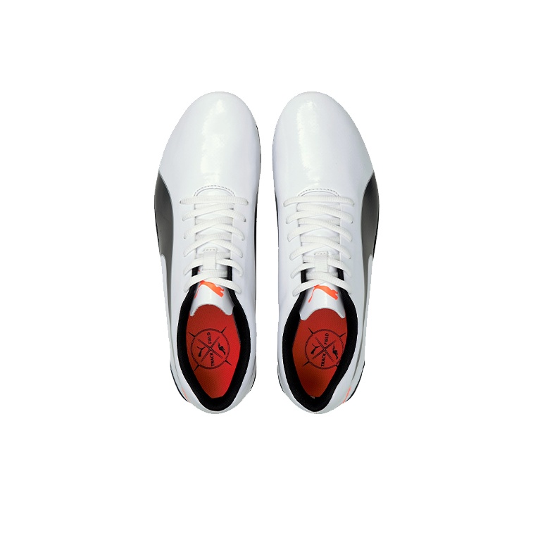 PUMA EvoSPEED Prep Sprint 2 La - Men Shoes Puma recensie en prijs
